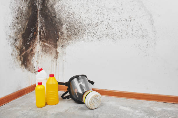 Best Office Mold Removal Services  in Broadway, NC