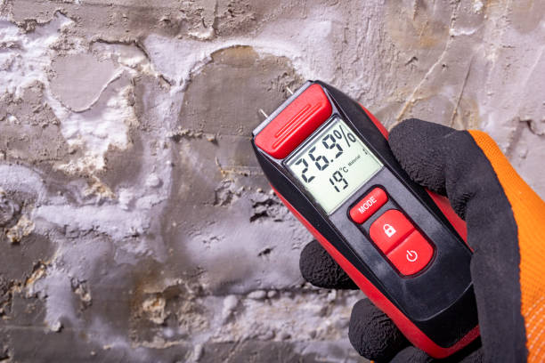 Best Attic Mold Removal  in Broadway, NC