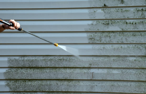 Best Local Mold Removal Service  in Broadway, NC