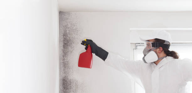 Best Crawl Space Mold Removal  in Broadway, NC