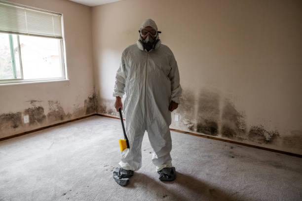 Best Mold Testing and Removal  in Broadway, NC