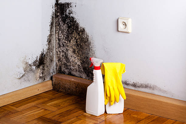 Water Damage Restoration in Broadway, NC